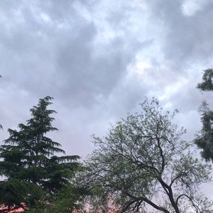 Meet your Posher, Annelyse